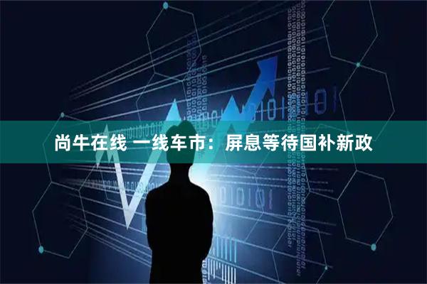 尚牛在线 一线车市：屏息等待国补新政