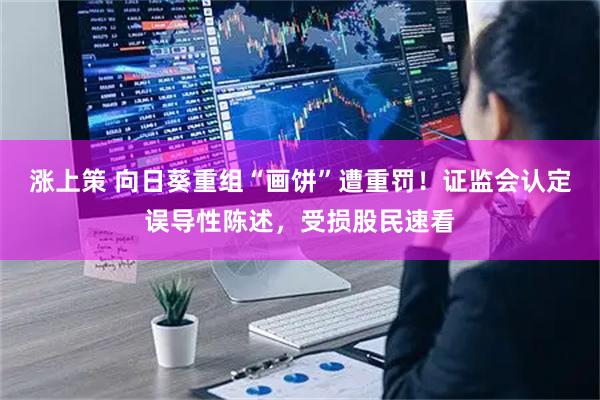 涨上策 向日葵重组“画饼”遭重罚!证监会认定误导性陈述,受损股民速看